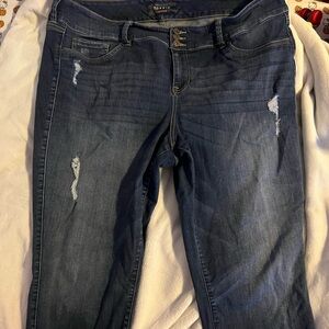Torrid Women's Blue Jeans